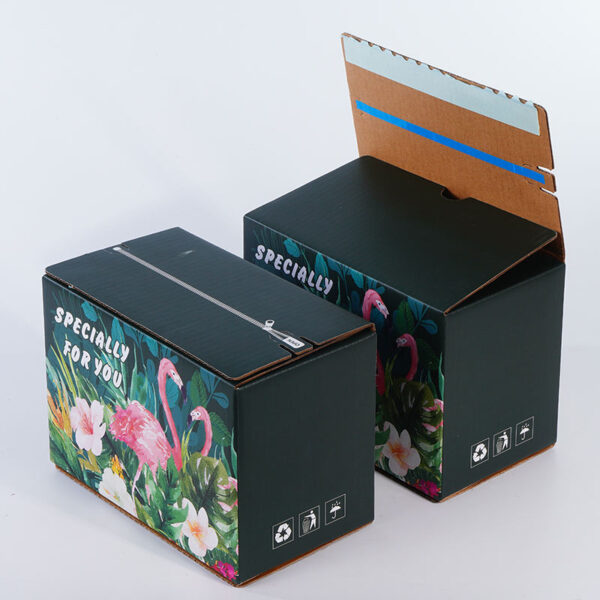 Custom Mailer Box With Tear Strip - Image 1