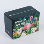 Custom Mailer Box With Tear Strip - Image 2