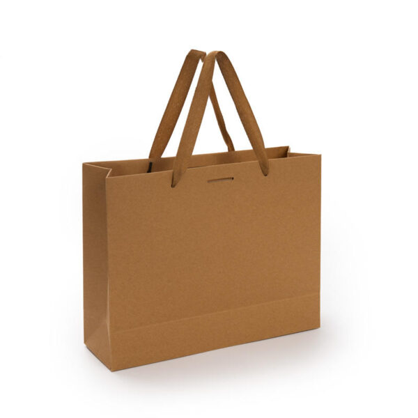 Custom Kraft Paper Bags - Image 1