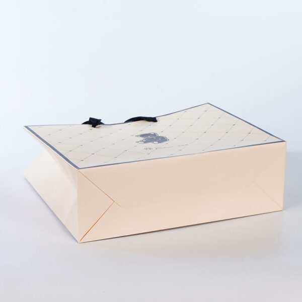 Custom Luxury Shopping Bag - Image 5