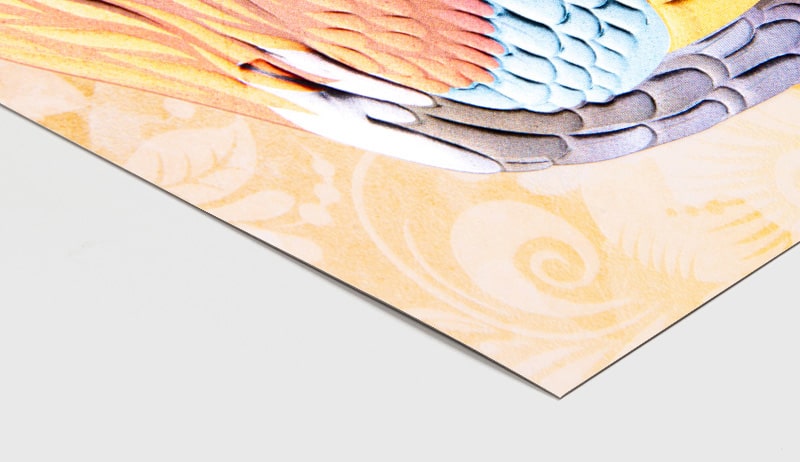 Printing Options 16 registered embossing